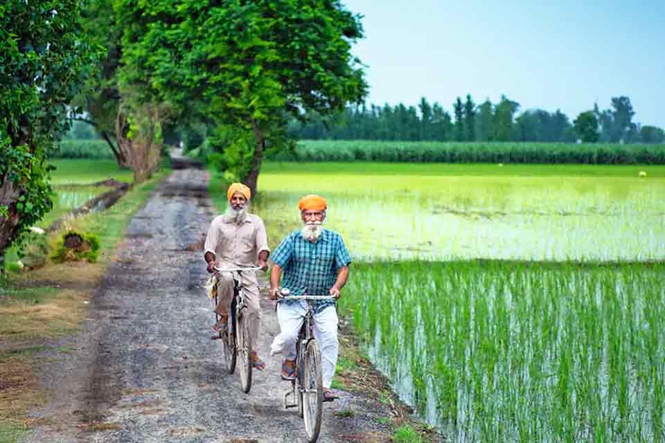 The real truth behind the devastation of Punjab's rural economy